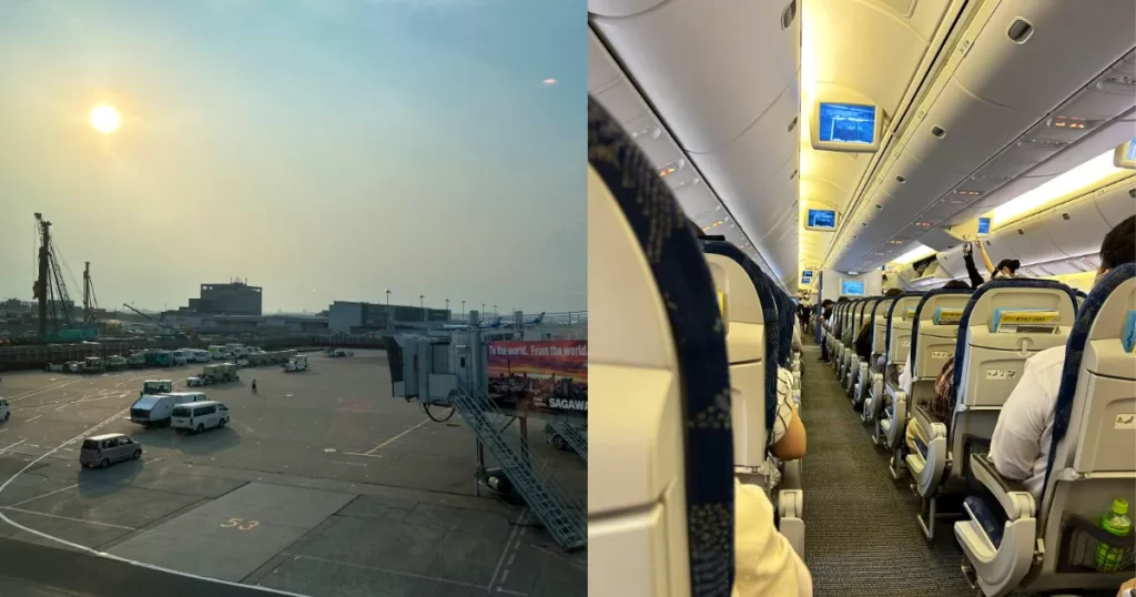 北海道千歳空港で目撃情報あり