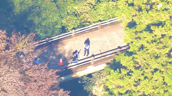 【事故】東伊豆町・要害橋で20代女性が40m転落し死亡!現場の画像・状況まとめ!